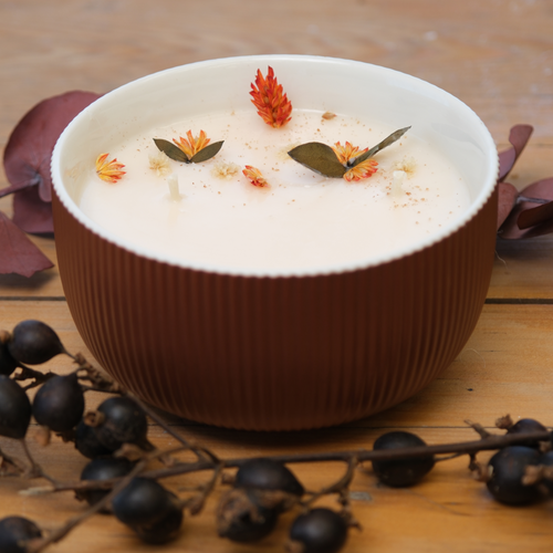 Évasion Boisée | Bol